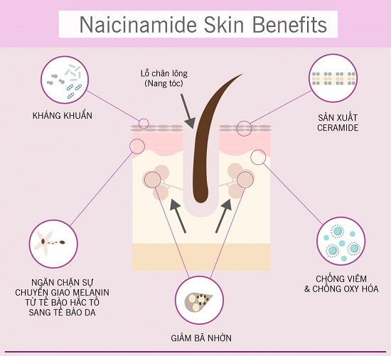 Tác dụng của Niacinamide