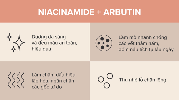 Kết hợp Alpha Arbutin và Niacinamide