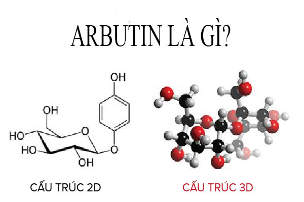 Arbutin là gì