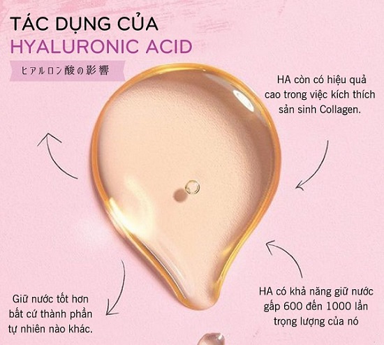 Axit hyaluronic (HA)