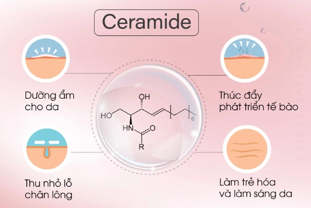 Tác dụng của Ceramides