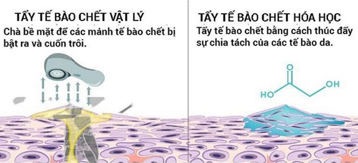 Phân biệt tẩy tế bào chết vật lý và hóa học