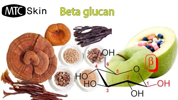 Beta-Glucan là gì?