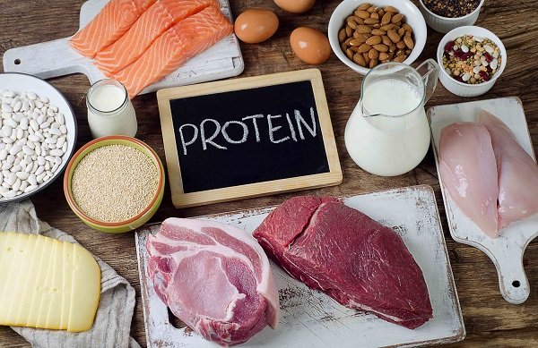 cách giảm mỡ bụng tại nhà - tăng cường protein