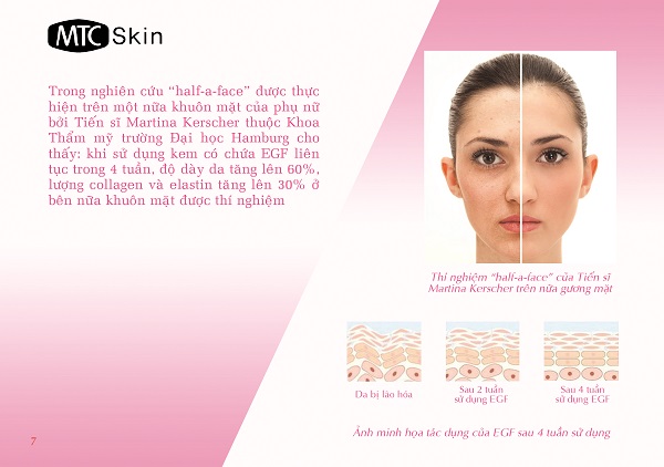 Tác dụng của EGF đối với làn da