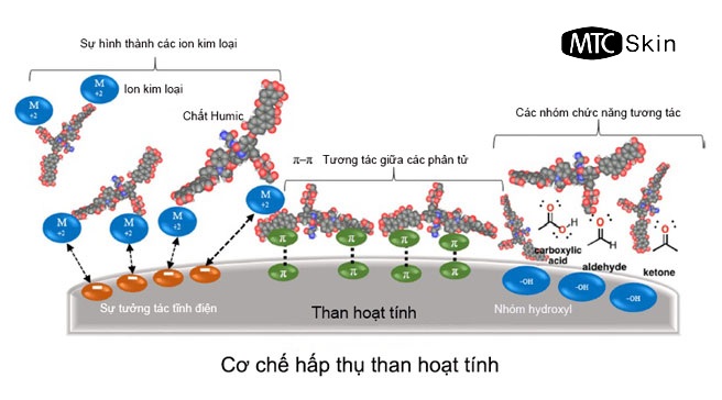 Cơ chế hoạt động của than hoạt tính